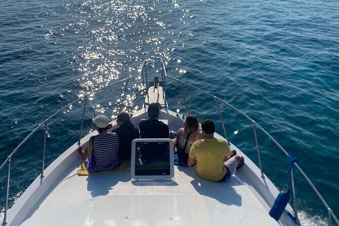 Private 38' Defender Sportfishing/Swim with Pigs in Nassau - An In-Depth Look at the Experience