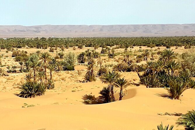 Private 4-day Moroccan Sahara Discovery Tour from Marrakech - Practical Details and What They Mean for You