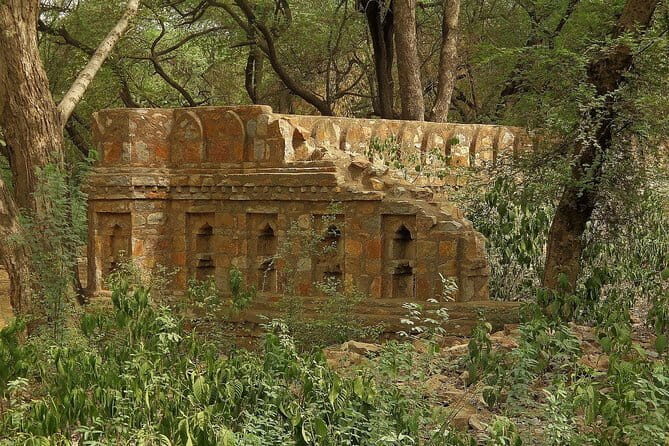 Private 4-Day Tiger Safari and Golden Triangle Tour from Delhi - Final Thoughts: Who Is This Tour Best For?