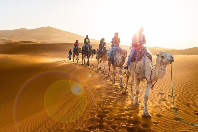 Private 4 Days Desert Tour from Marrakech to Fes - What to Expect from the Itinerary