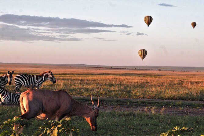 Private 4-Days Northern Circuit National Parks in Tanzania - The Sum Up