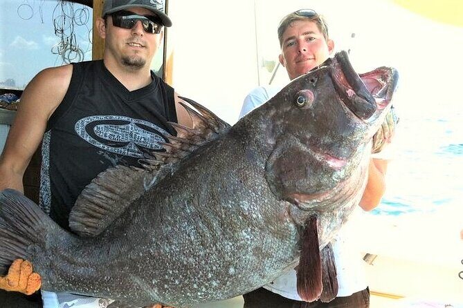 Private 4-Hour Big Game Deep Sea Fishing Charter in Fort Lauderdale - The Value and Cost Analysis