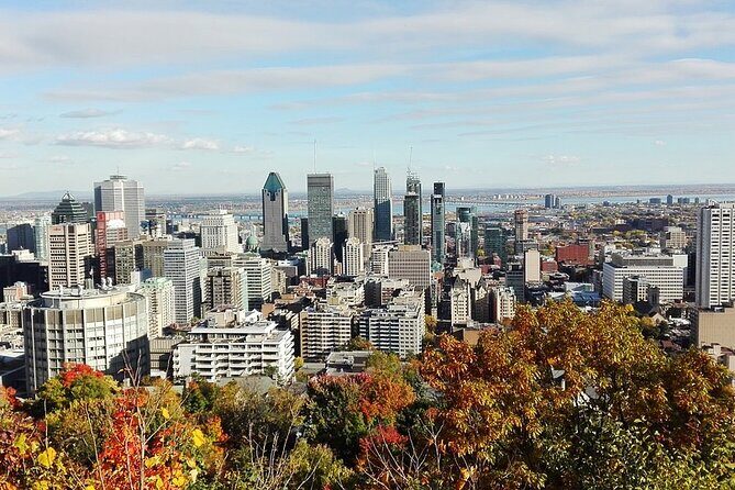 Private 4-hour City Tour of Montreal with driver and guide - Hotel pick up - What Makes This Tour Stand Out?
