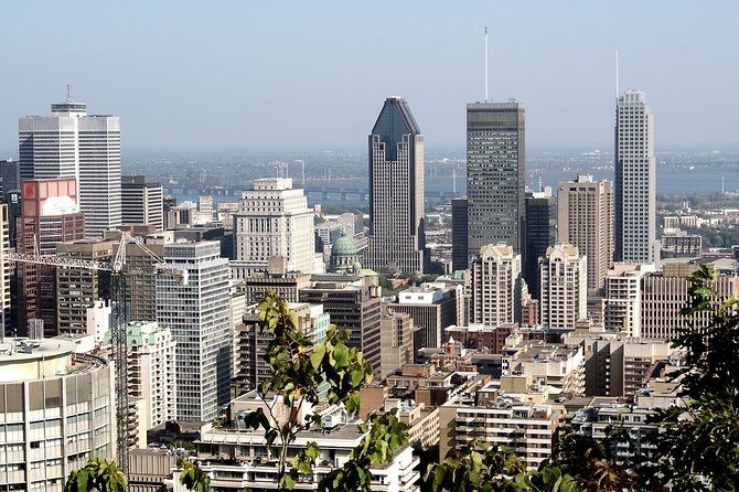 Private 4-hour City Tour of Montreal with driver and guide - Hotel pick up - The Sum Up