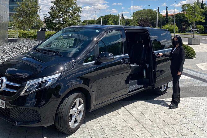 Private 4-hour City Tour of Toronto with driver and guide - Hotel pick up - The Sum Up