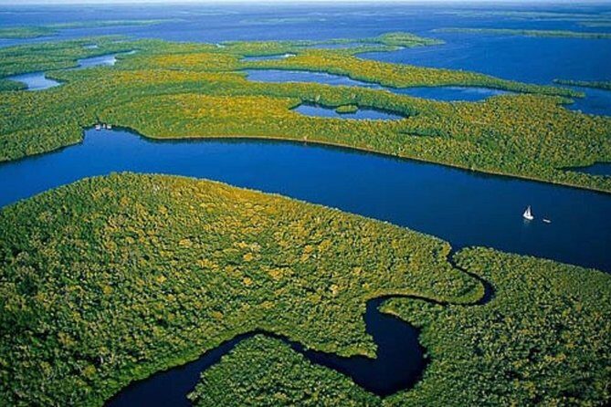 Private 4 Hour Everglades Tour Experience in the Wilderness - Key Points
