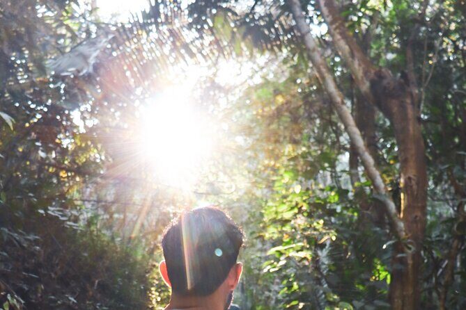 Private 4 hour Hiking Adventure + Breakfast in Nogalito Ecopark - An In-Depth Look at the Nogalito Ecopark Hiking Adventure