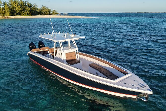 Private 4-Hour Rose Island charter Snorkeling Turtles & Beaching - Private 4-Hour Rose Island Charter Snorkeling Turtles & Beaching — A Deeper Look