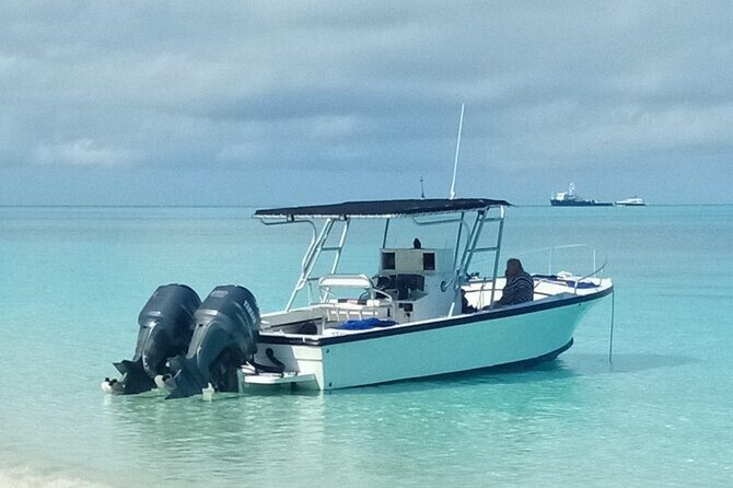 Private 4 hour Rose Island tour snorkeling fishing - Key Points