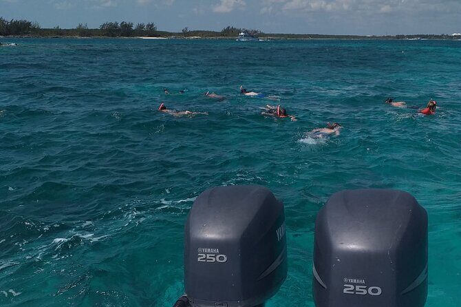 Private 4 hour Rose Island tour snorkeling fishing - Analyzing the Value and Practicalities