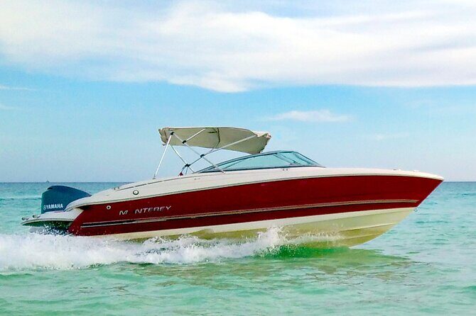 PRIVATE! | 4-hour Speed Boat Trip | Swim With Dolphins, Snorkeling & Island - Who Will Enjoy This Tour Most?