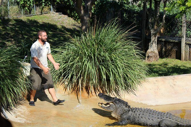 Private 4-hour Tour of Everglades from Miami Dade - A Closer Look at the Itinerary