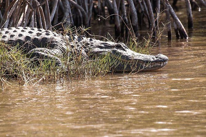 Private 4-hour Tour of Everglades from Miami Dade - Authenticity and Practical Tips