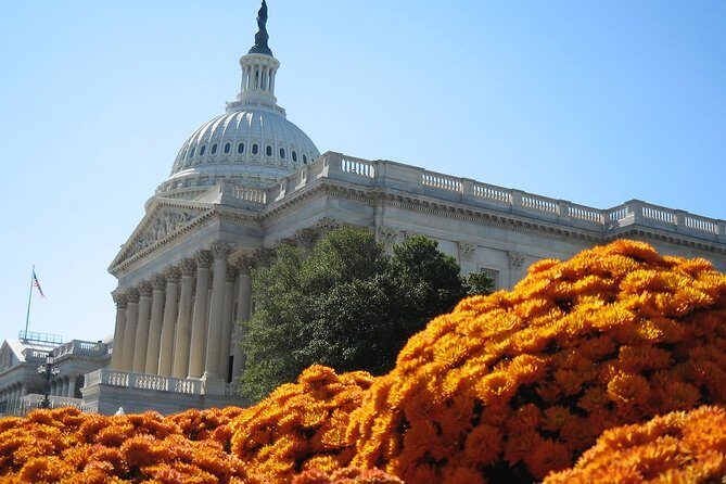 Private 4-hour Walking Tour in Washington with official tour guide - Frequently Asked Questions