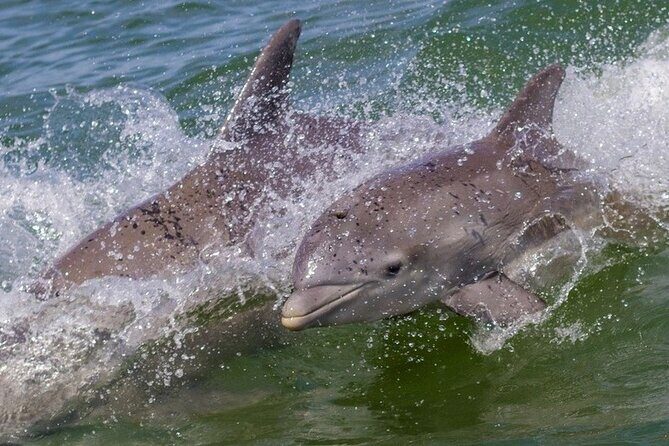 Private 4 Hours Islamorada Sandbar Charter - Who Will Enjoy This Tour?