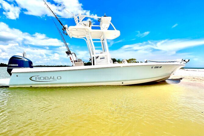 Private 4 HR Eco Tour, Shelling and Fishing, Marco Island FL - What to Expect on the Tour