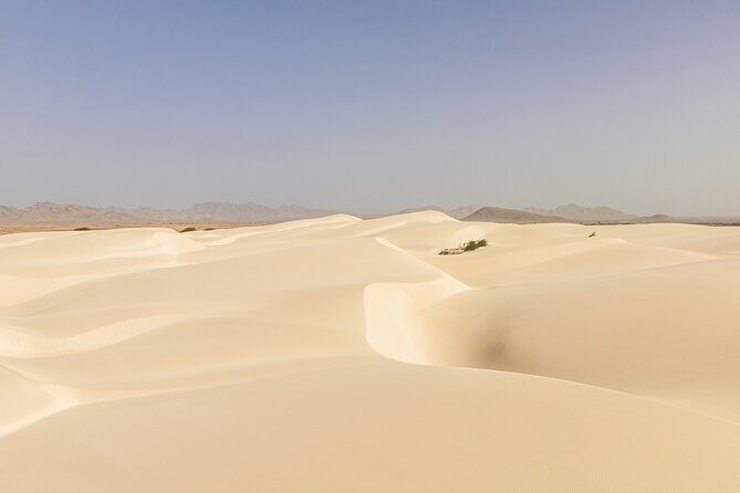 Private 4WD Tour Sun and Fun in Boa Vista - Turtle Bay — Watching Loggerhead Turtles from Above