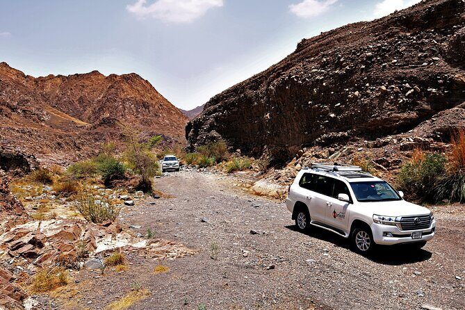 Private 4x4 Desert Drive, Wadi Shawaka Pool Visit with Lunch box - Key Points