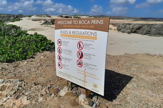 Private 4x4 Natural Pool, Caves & Baby Beach by Cross Aruba Tours - Final Thoughts: Who Is This Tour Best For?