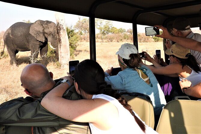 Private 4x4 Safari Tour in Kruger National Park - A Close-Up Look at the Private 4x4 Safari in Kruger National Park