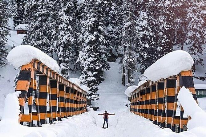Private 5-Day Charming Kashmir Package Tour from Srinagar - An In-Depth Look at the 5-Day Kashmir Experience
