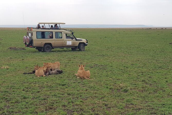 Private 5 Day Maasai Mara with Lake Nakuru and Lake Naivasha Tour - FAQ