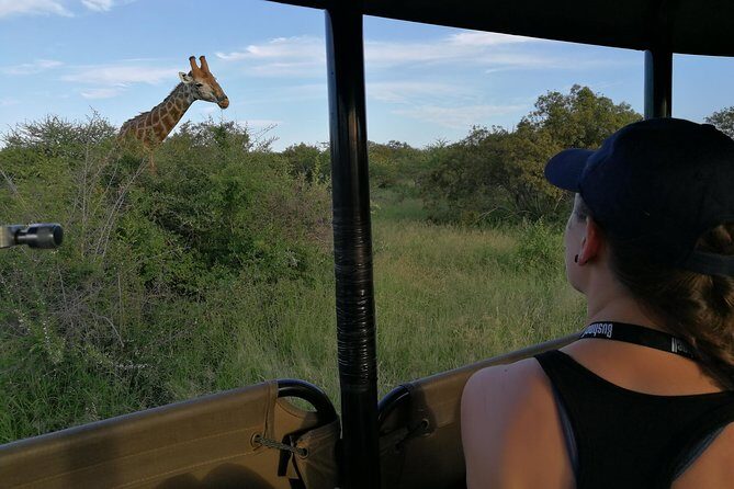 Private 5-Day Overnight Safari In Kruger Park from Skukuza Airport - Accommodation and Comfort