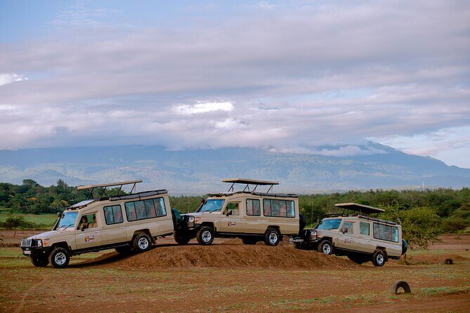 Private 5-Days Serengeti Trails with Kojuu Safaris - The Sum Up