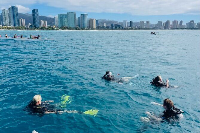 Private 5 Hour Charter on board our yacht in Waikiki - Key Points