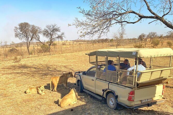 Private 5-Hour Lion Park Tour from Johannesburg or Pretoria - FAQ