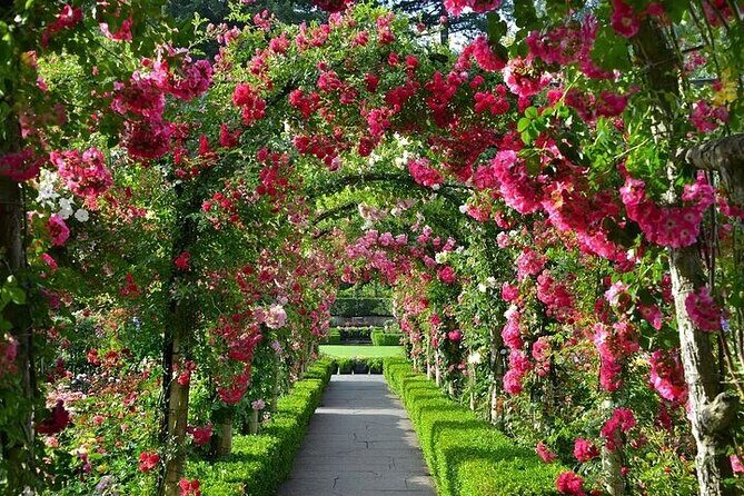 Private 5 Hour Tour of Butchart and Butterfly Gardens - What Travelers Say (Based on Reviews)