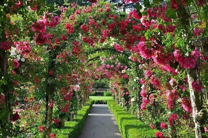 Private 5 Hour Tour of Butchart and Butterfly Gardens - Deep Dive: Why This Tour Offers Good Value