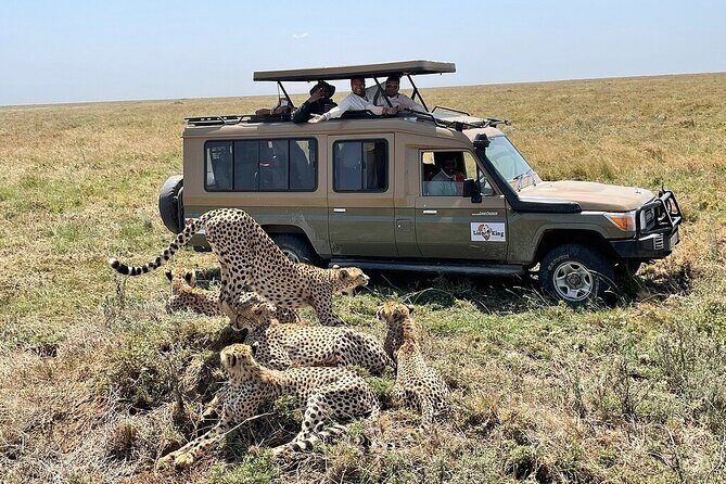 Private 6-Day Tarangire Manyara Crater and Serengeti with Mid-Range Lodges - The Sum Up