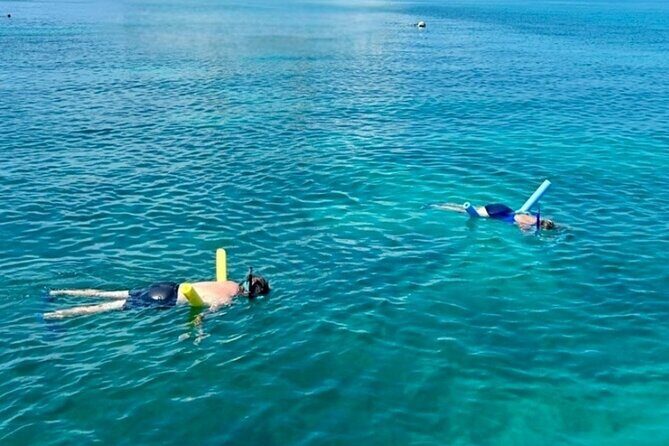 Private 6-person Sandbar & Snorkeling Charter - What Travelers Say