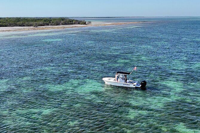Private 6-person Sandbar & Snorkeling Charter - Final Thoughts