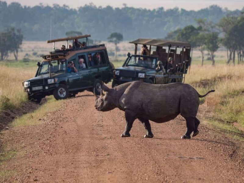 Private 7 Days Samburu Ol pejeta L. Nakuru L. Naivasha Masai - Key Points