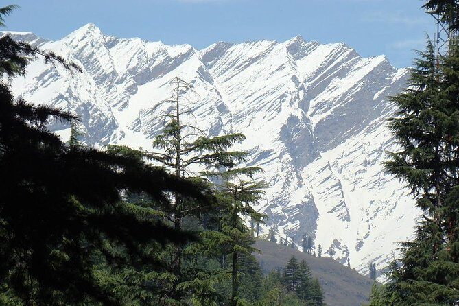 Private 7 Days Shimla Manali Hill Stations Tour From Chandigarh - Analyzing the Itinerary: What to Expect Each Day