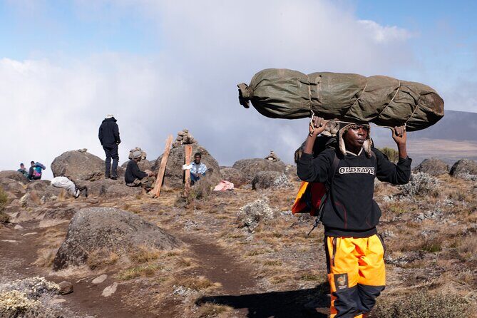 Private 8 day Northern Circuit Kilimanjaro Climb - An In-Depth Look at the Itinerary and Experience