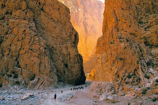 Private 8 Days Morocco Tour From Marrakech with Sahara Desert - The Itinerary in Detail