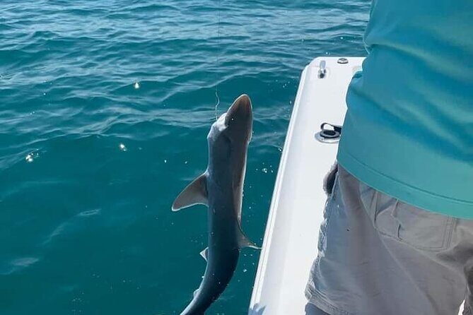 Private 8 hour Fishing Activity with Master Captain Bill - Who Will Love This Experience?