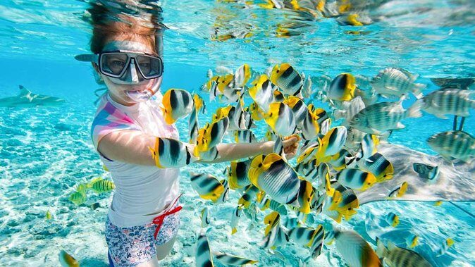 Private 9-Day Egypt Family Holiday - Fun & Discovery - FAQ