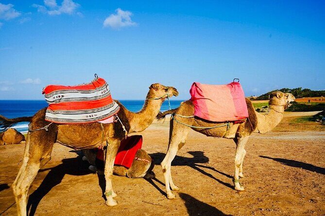 Private Above and Beyond Tour in Tangier - Authenticity and Cultural Insight