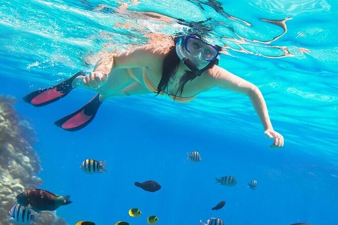 Private Abu Dabbab Over Day Snorkeling with Turtles - Hurghada - Final Thoughts