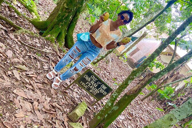 Private Aburi Hill Guided Tour - FAQ: Your Practical Questions Answered