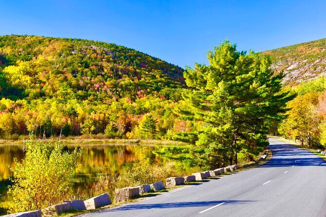 Private Acadia & Mount Desert Island Tour (full day, six hours) - The Sum Up: The Best of Acadia, With a Personal Touch
