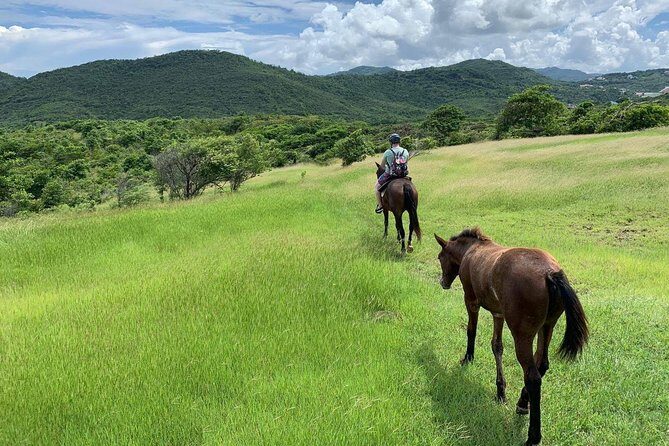Private Advanced Horseback Beach Ride with Sandy Hoofs St. Lucia - A Ride Through St. Lucia’s Best: Private Advanced Horseback Beach Ride with Sandy Hoofs