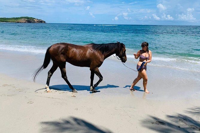 Private Advanced Horseback Beach Ride with Sandy Hoofs St. Lucia - An Honest Look at the Experience
