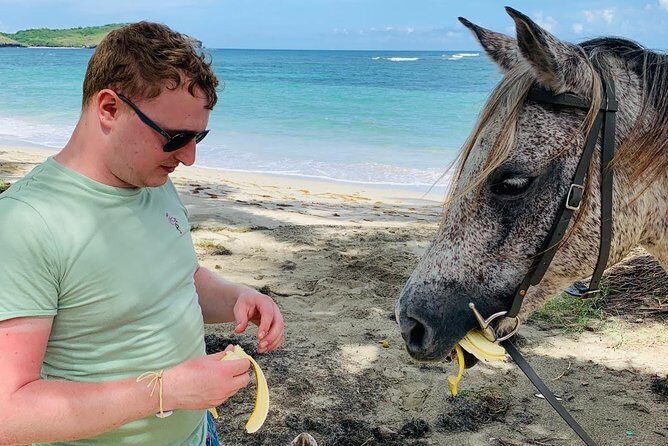 Private Advanced Horseback Beach Ride with Sandy Hoofs St. Lucia - Who Should Consider This Tour?