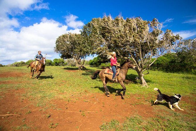 Private Advanced Trail Ride - Frequently Asked Questions