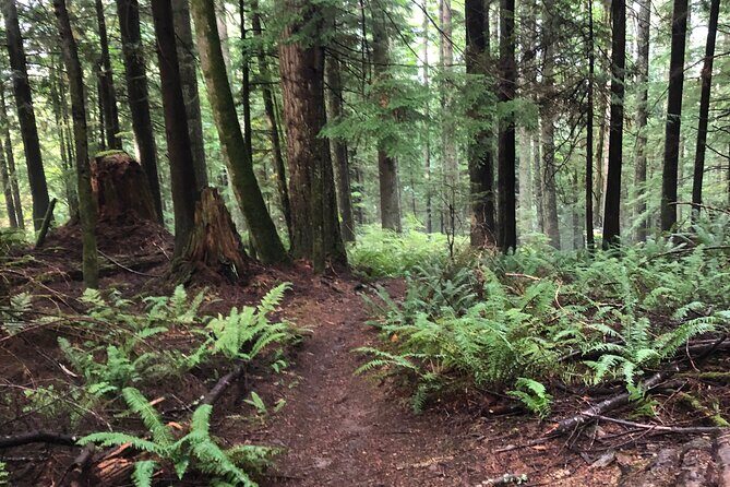 Private Adventure Mountain Biking in Seattle's Eastside - Introduction